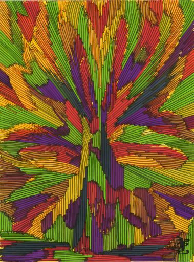 Where the Trees Have No Name