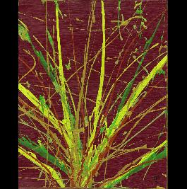 Not Your Mother's Potted Plant